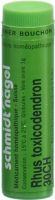 Produktbild von Sn Rhus Toxicodendron Globuli Ch 30 1g