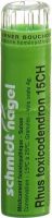 Produktbild von Sn Rhus Toxicodendron Granulat Ch 15 4g