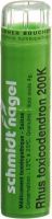 Produktbild von Sn Rhus Toxicodendron Granulat 200 K 4g