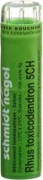 Produktbild von Sn Rhus Toxicodendron Granulat Ch 5 4g
