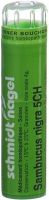 Produktbild von Sn Sambucus Nigra Granulat Ch 5 4g