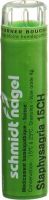 Produktbild von Sn Staphysagria Granulat Ch 15 4g