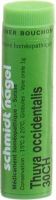 Produktbild von Sn Thuya Occidentalis Globuli Ch 30 1g