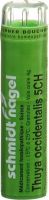 Produktbild von Sn Thuya Occidentalis Granulat Ch 5 4g