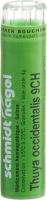 Produktbild von Sn Thuya Occidentalis Granulat Ch 9 4g