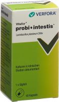 Produktbild von Vitafor Probi-Intestis Kapseln 40 Stück