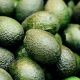 Produktbild von Rausch Avocado Shampoo 200ml