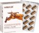 Produktbild von Hawlik Cordyceps Extrakt + Pulver Kapseln 60 Stück