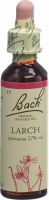Produktbild von Bachblüten Larch Nr. 19 Flüssig 20ml