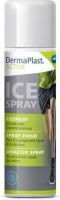 Image du produit Dermaplast Active Ice Spray 200ml