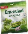 Produktbild von Soldan Em-Eukal Eucalyptus Zuckerfrei Beutel 50g