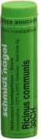 Produktbild von Sn Ricinus Communis Globuli Ch 30 1g