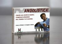Product picture of Holistica Andolistica Kapseln 40 Stück