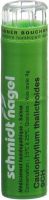 Produktbild von Sn Caulophyllum Thalictroides Granulat Ch 9 4g