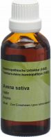 Produktbild von Spagyros Avena Sativa Urtinkt 50ml