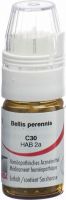 Produktbild von Omida Bellis Perennis Globuli C 30 M Dosierhilfe 4g