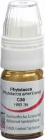 Produktbild von Omida Phytolacca Globuli C 30 M Dosierhilfe 4g
