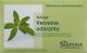Immagine del prodotto Sidroga Verveine Tee 20 Beutel