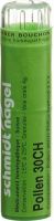 Produktbild von Sn Pollen Granulat Ch 30 4g