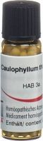 Produktbild von Omida Caulophyllum Thalictroides Globuli C 30 2g