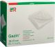 Produktbild von Gazin Set 10 Longuet 8x18cm 16fach Typ17 St 12 Stück
