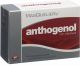 Produktbild von Masquelier's Anthogenol Kapseln mit Opc 60 Stück