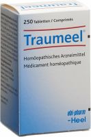 Immagine del prodotto Traumeel Tabletten 250 Stück