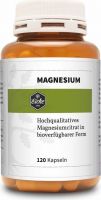 Produktbild von Eiche Magnesium Kapseln Dose 120 Stück