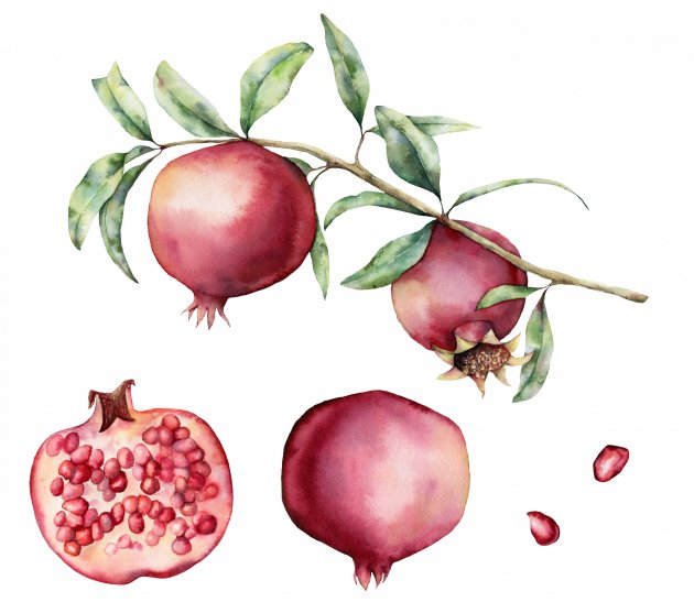 Delima Granatapfel