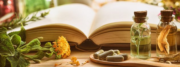 Arzneipflanzen-Lexikon: Wissenswertes aus der Phytotherapie