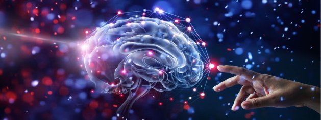 Brainxpert